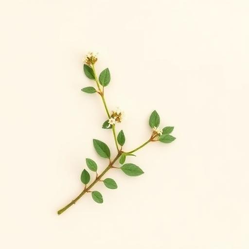 Cleavers